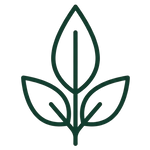 A dark green minimalist line icon depicting three leaves on a stem, centered on a solid white background.